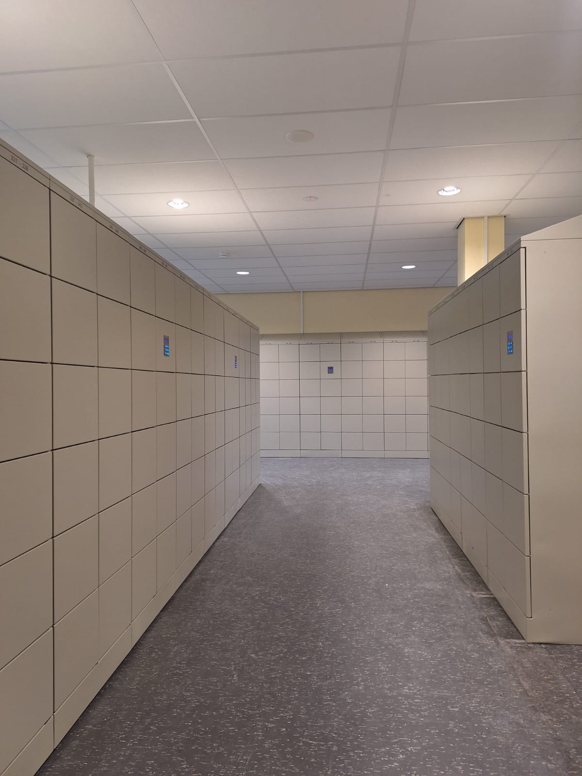 Moderne schoollockers die bijdragen aan sociale veiligheid en rust in de leeromgeving